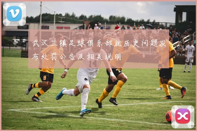 武汉三镇足球俱乐部就历史问题发布处罚公告及相关说明
